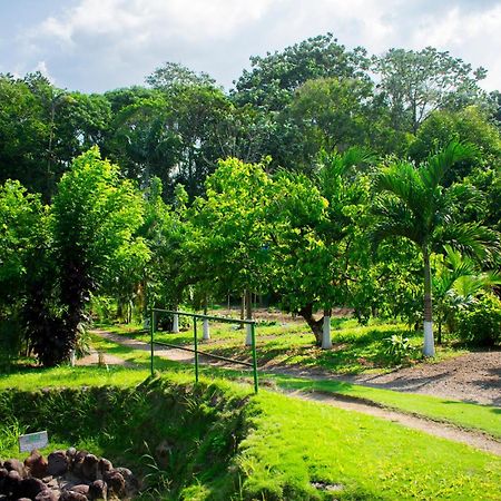 Arenal Descanso La Fortuna Exterior photo