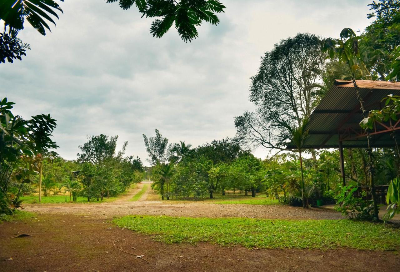 Arenal Descanso La Fortuna Exterior photo