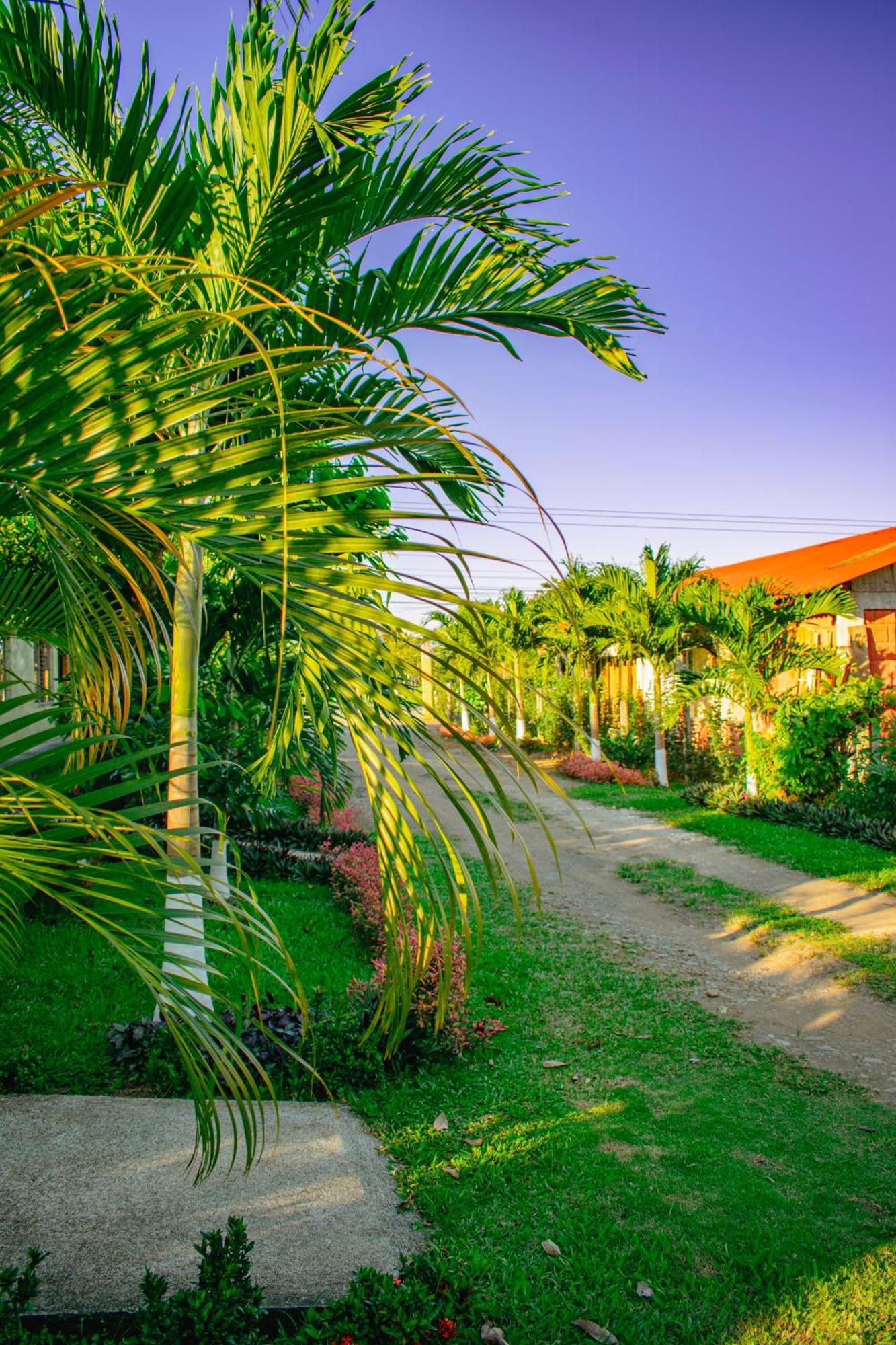 Arenal Descanso La Fortuna Exterior photo
