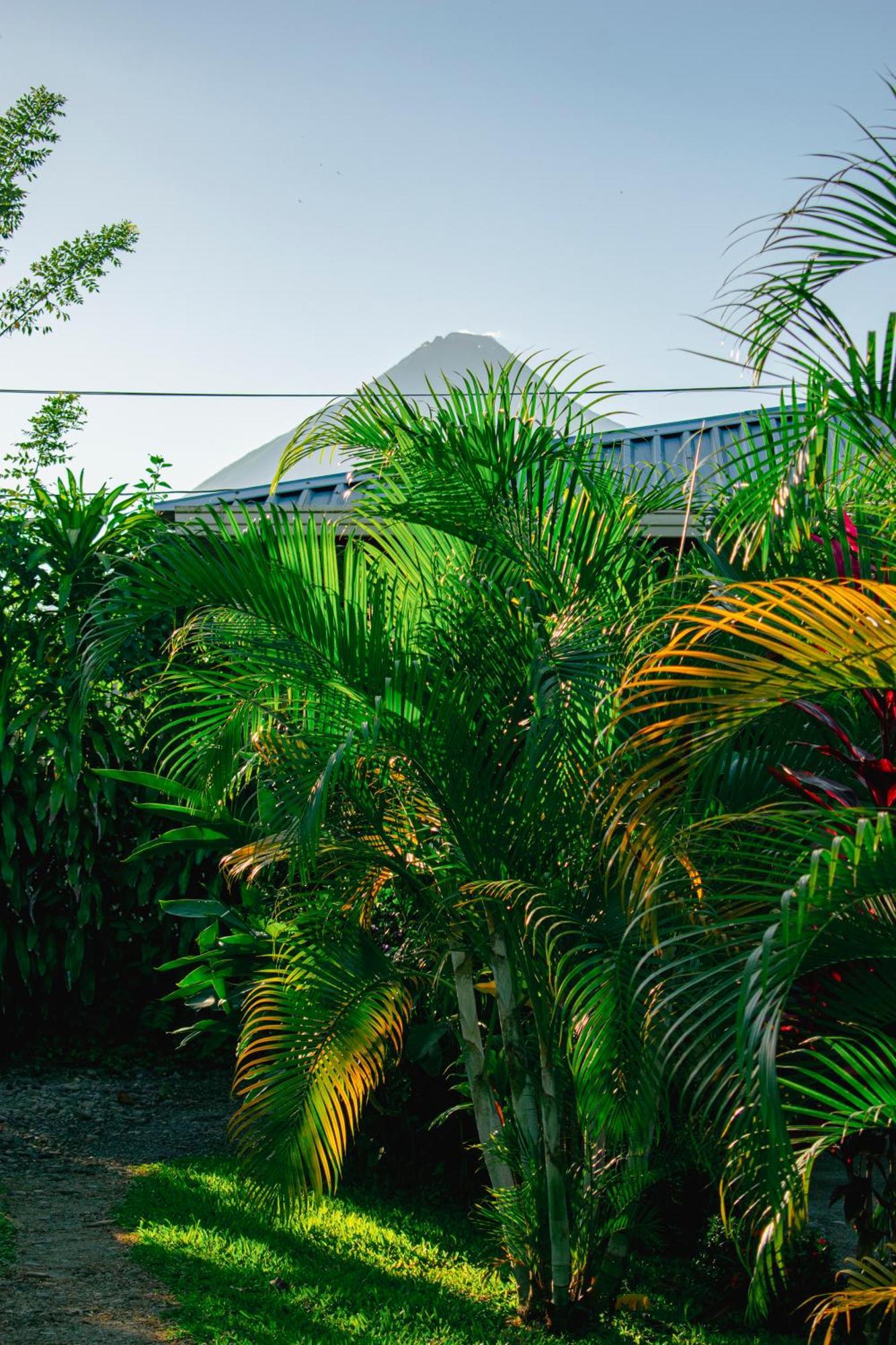 Arenal Descanso La Fortuna Exterior photo