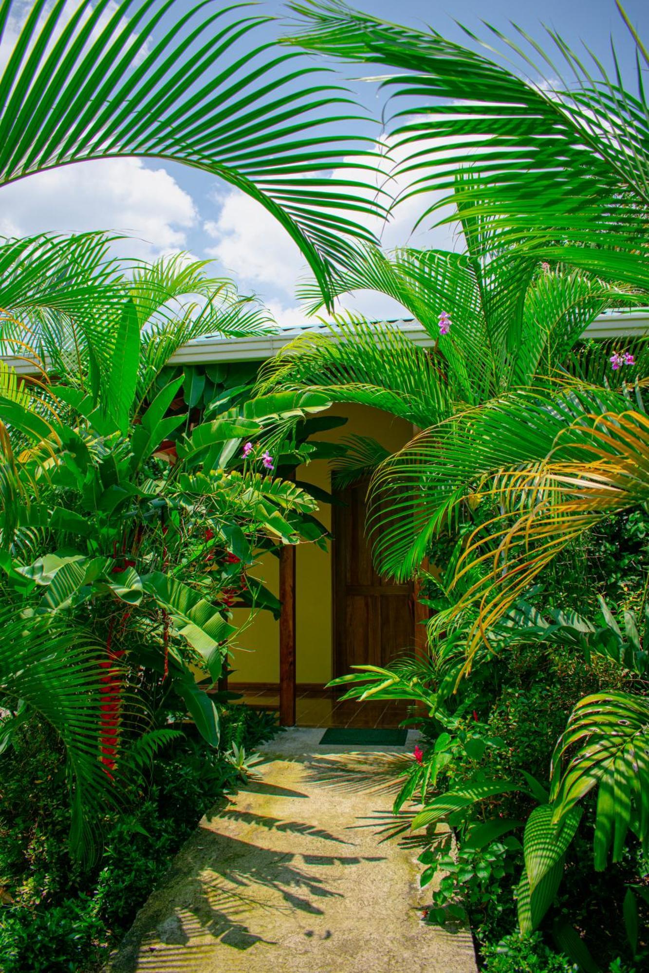 Arenal Descanso La Fortuna Exterior photo